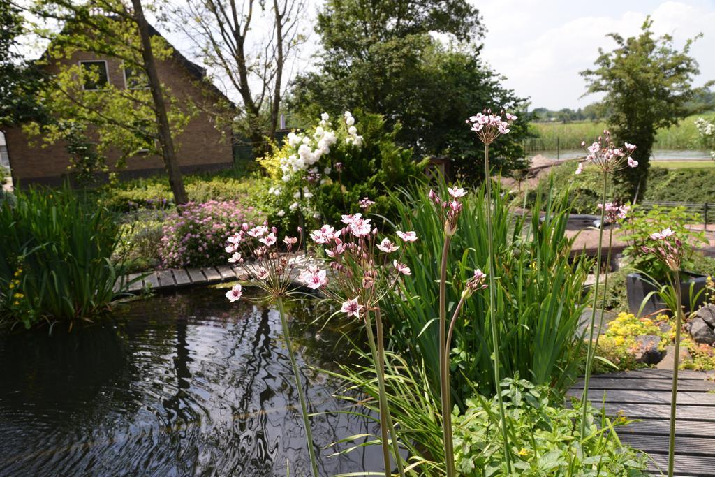 Guest House Aan De Hollandse Ijssel Montfoort Exterior foto